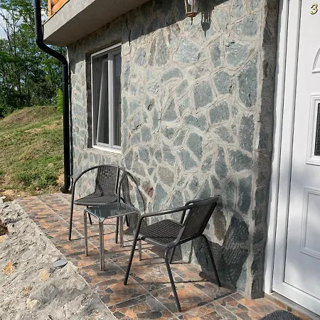 Boja Zalaska - Kameni * Jagodina