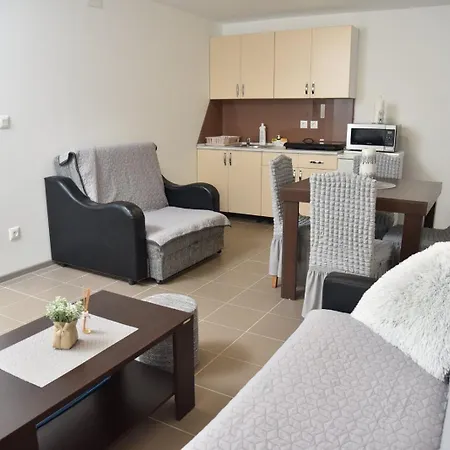 Boja Zalaska - Kameni Jagodina