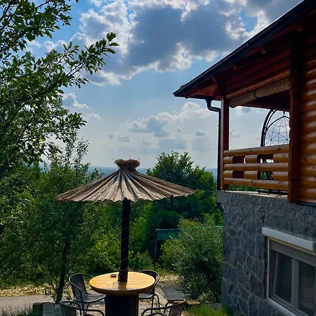 Boja Zalaska - Kameni Jagodina